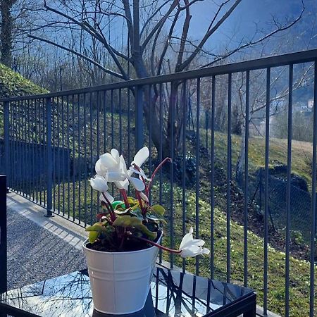 Casa Laura Zona Bellagio Apartman Magreglio Kültér fotó